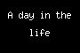 A day in the life
