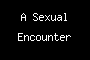 A Sexual Encounter