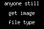 anyone still get image file type bug?