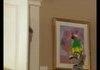 Talking parrot