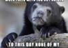 confession bear