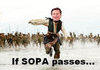 Another sopa post