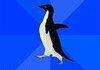 Awkward Penguin