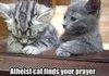 Atheist Cat