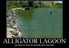 Alligator Lagoon