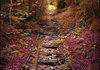 An abandoned railroad in the fall
