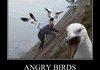 angry birds