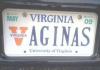 Awesome license plate
