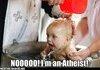 Atheist baby