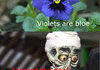 Achmed the dead poetic