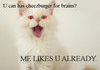 Zombie Lolcat