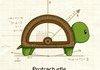 Acute Turtle