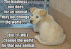 animal kindness