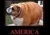 America Fuck yeah!