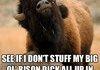 Angry Bison