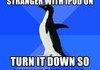 awkward penguin