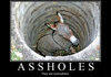 assholes
