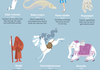 50 Mythical Creatures