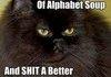Alphabet Soup LoLcat