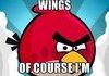 Angry Birds