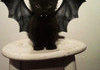 Animals <b>in</b> Halloween Costumes