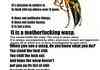 A MOTHERFUCKING WASP