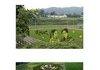 Awesome Rice Fields !