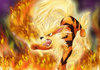 Arcanine.