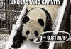Gravity panda