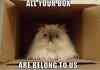 All your box