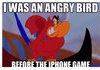 angry bird