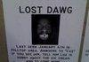 anybody lost a dawg