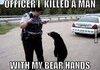 Actual confession bear