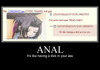 Anal