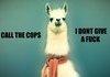 Alpaca don give a fuq