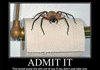 Admit It