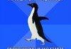 awkward penguin