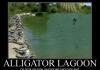 Alligator Lagoon