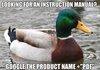 Advice Mallard