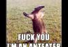 ANTEATER