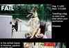 Animal Fails
