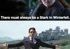 Always a Stark