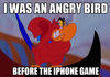Angry Bird