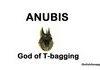 anubis
