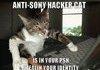 anti sony hacker cat