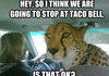Awkward stepdad cheetah