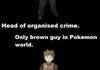 <b>Pokemon</b>: The Game of Stereotypes