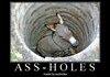 ASS HOLES