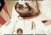 Astronaut sloth