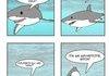 a shark story